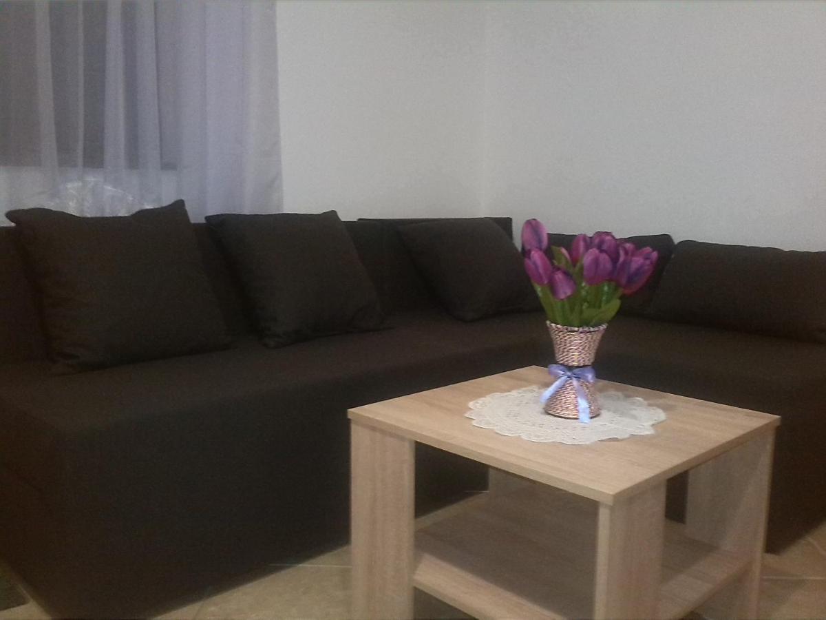 Apartman Borosa Vir Dış mekan fotoğraf